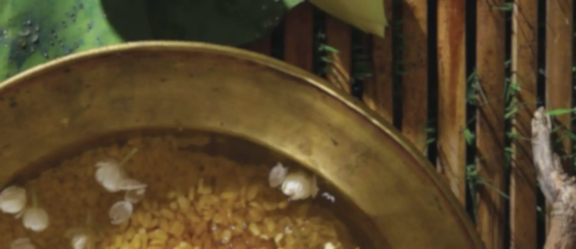 compressed_Untitled design - 2025-11-10T011437